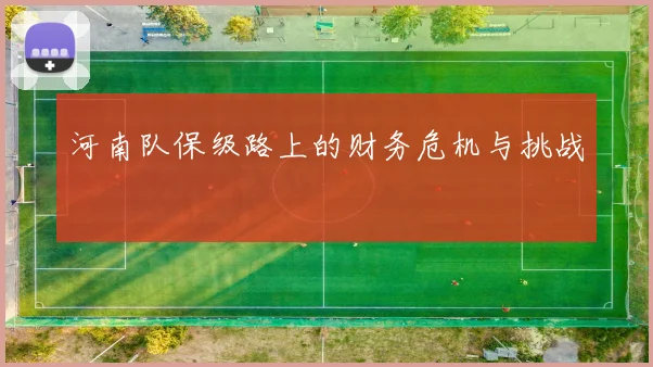 河南队保级路上的财务危机与挑战