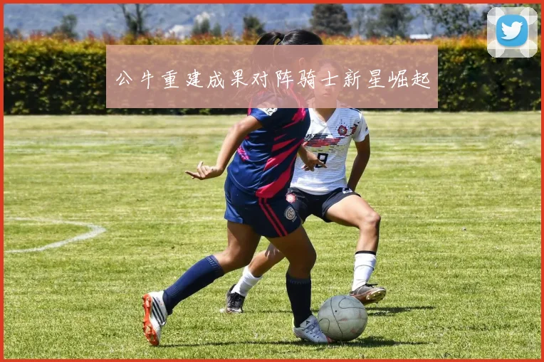 公牛重建成果对阵骑士新星崛起