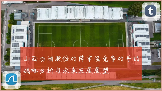 山西汾酒股份对阵市场竞争对手的战略分析与未来发展展望