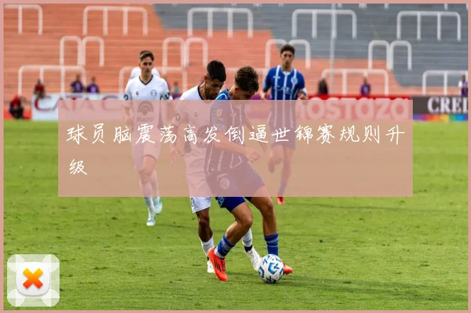 球员脑震荡高发倒逼世锦赛规则升级