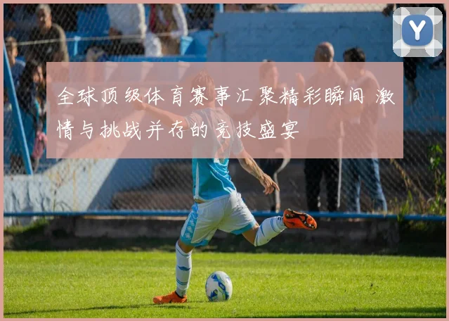 全球顶级体育赛事汇聚精彩瞬间 激情与挑战并存的竞技盛宴