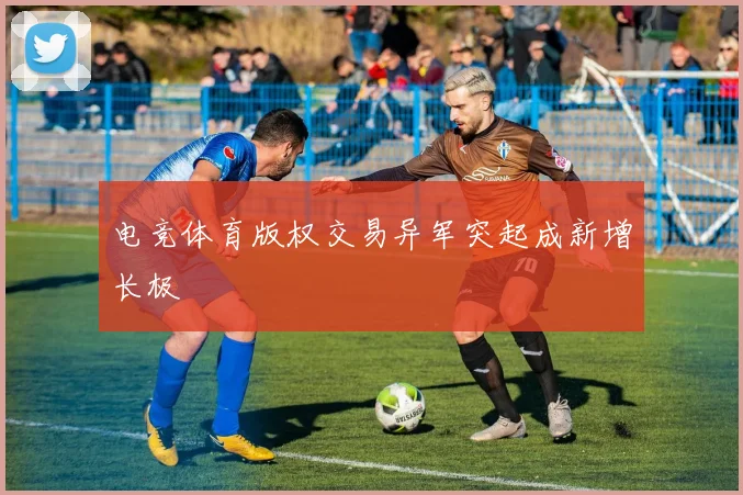 电竞体育版权交易异军突起成新增长极
