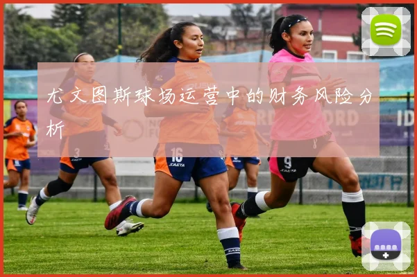 尤文图斯球场运营中的财务风险分析