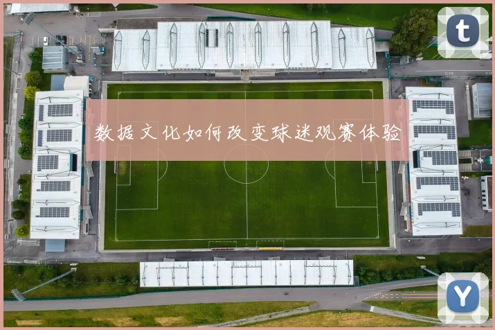数据文化如何改变球迷观赛体验